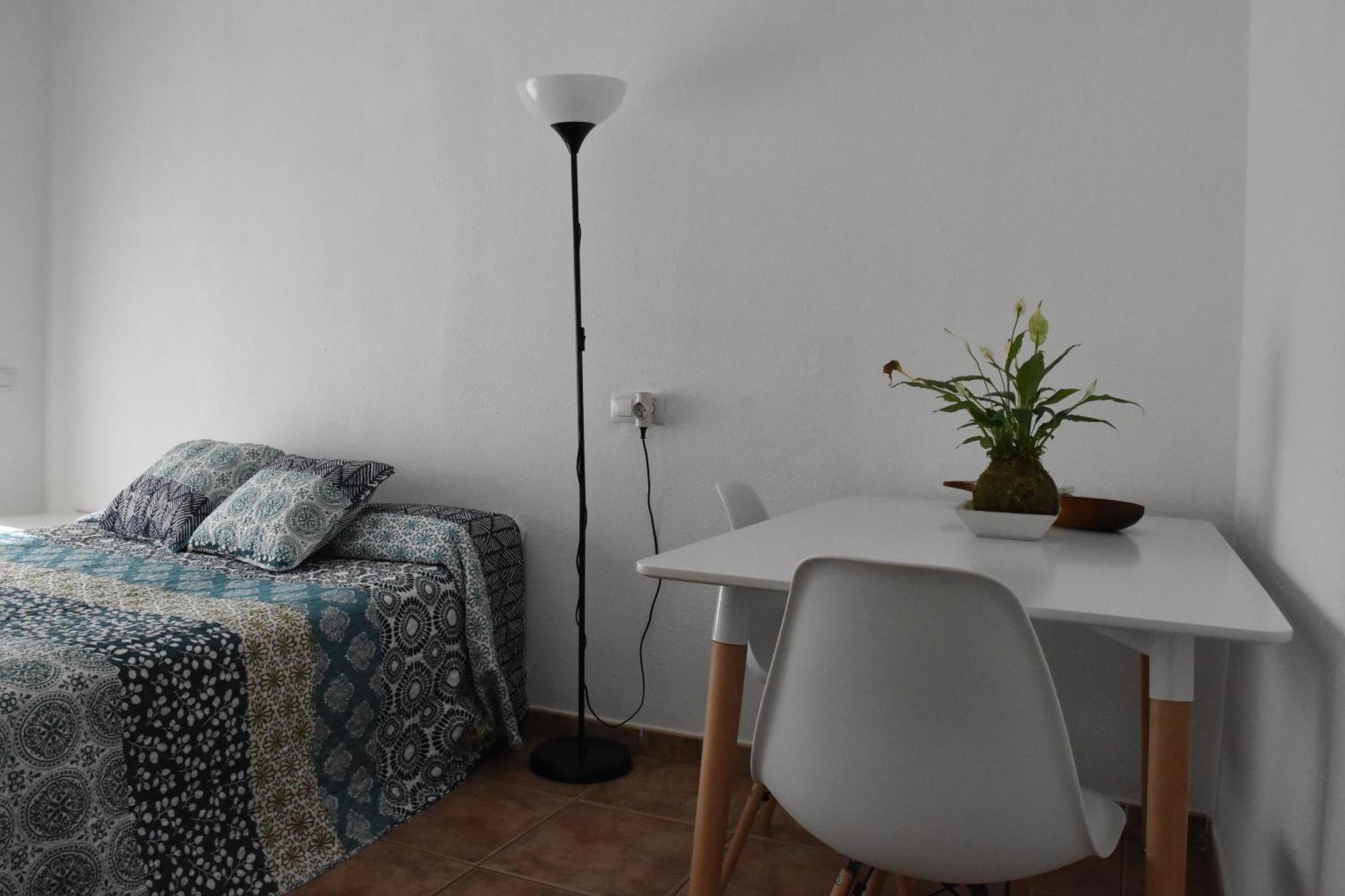 Apartamentos Les Palmeres Platja d'Aro Dış mekan fotoğraf