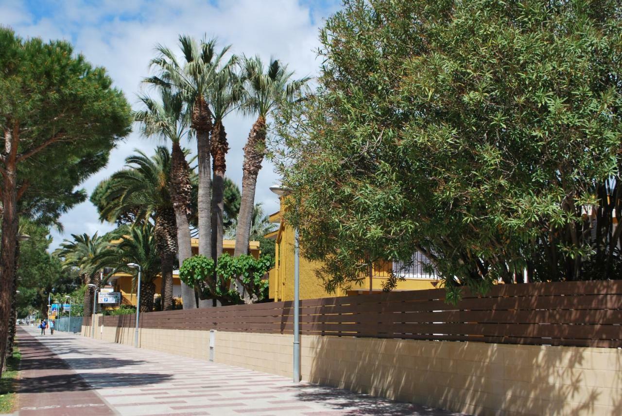 Apartamentos Les Palmeres Platja d'Aro Dış mekan fotoğraf